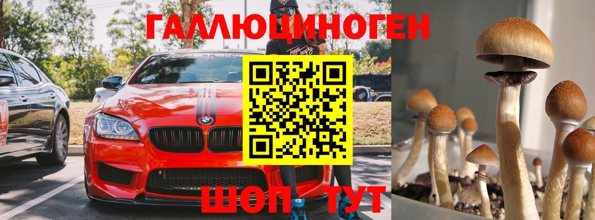 Серпухов  Галлюциногенные грибы мицелий  Вход с VPN 